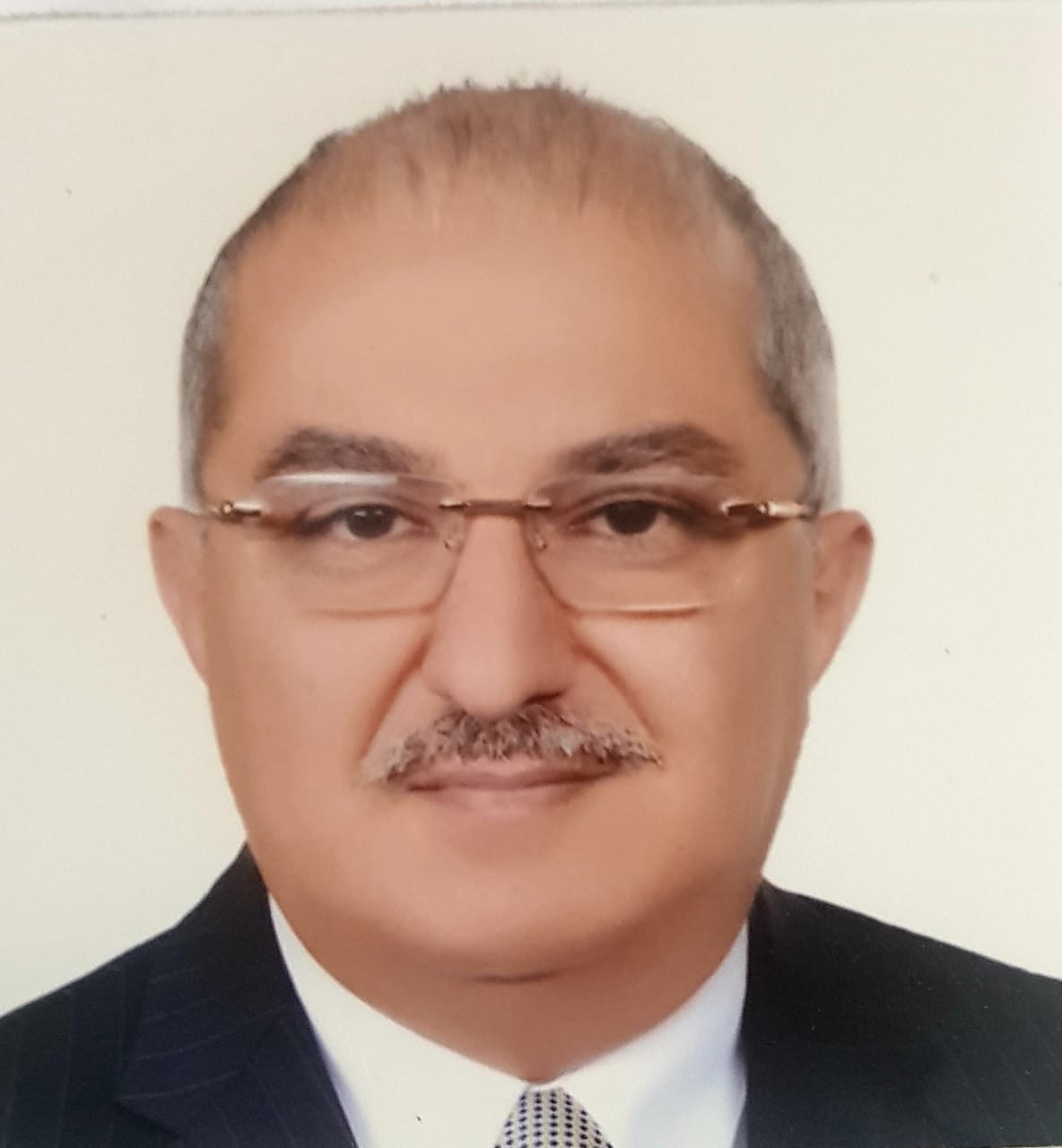 Tarek Abdullah Morsy El-Gammal