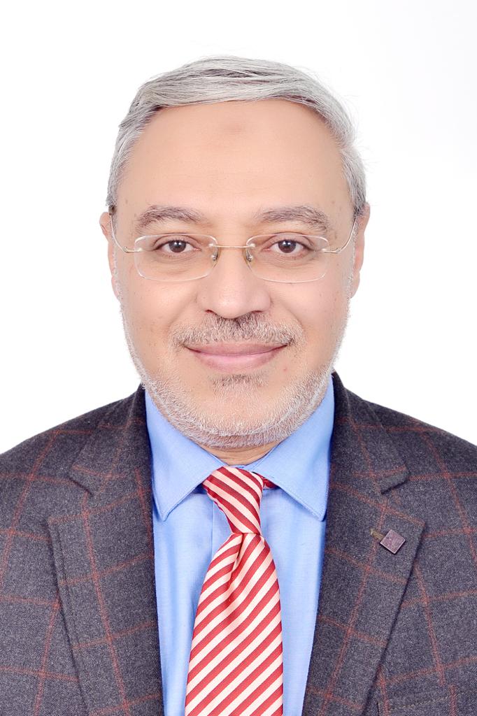 Mahmoud Ahmed Zaki Mohamed