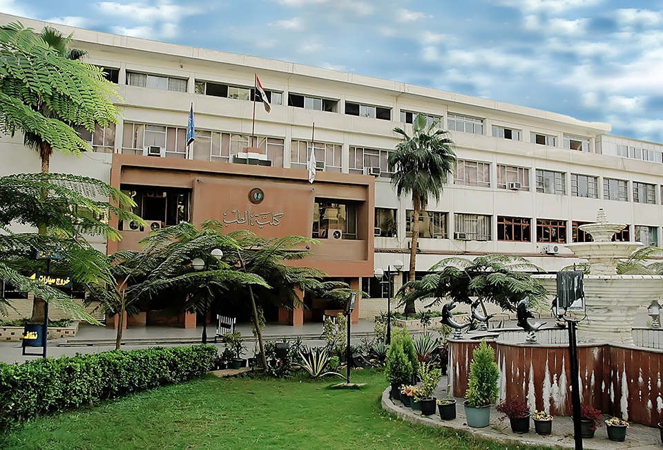 Mansoura University - Faculty of Medicine