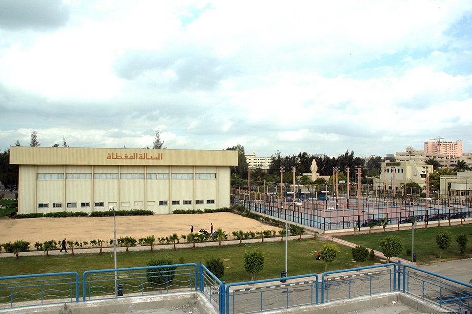 Mansoura University - Gymnasium