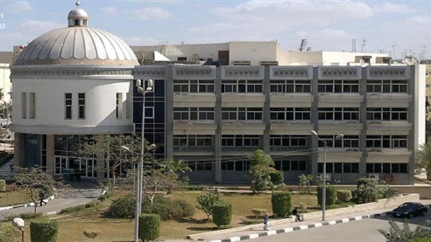 Fayoum University - Building